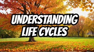 Biblical Laws That Govern The Cycle Of Life