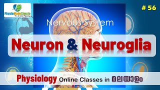 Ep.56 |  Neuron \u0026 Neuroglia  | Malayalam