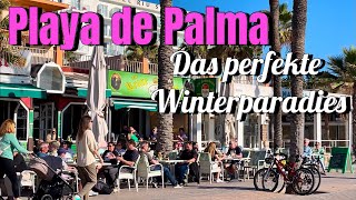 Playa de Palma🌴🏖️Mallorca island🩷NEW! LUST AUF MALLORCA URLAUB im Winter? #mallorca #travel #vlog