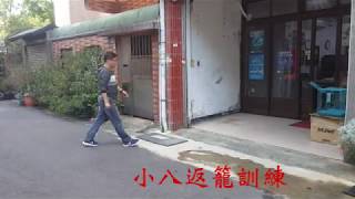 八哥鳥叫遠＆返籠訓練