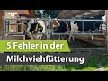 5 Fehler in der Milchviehfütterung 🙅‍♂️