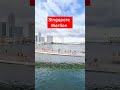 Singapore Merlon #shortsviral #nature #ofwlife #amazing #views #shortvideo #mel