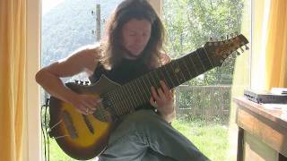 Old folk song on beartrax guitar by jan laurenz