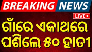 Live: ଗାଁକୁ ପଶିଗଲେ ଏକାଥରେ ୫୦ ହାତୀ | Elephant herd causes panic to residents in Odisha's Angul