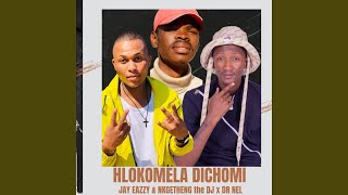 Hlokomela Dichomi (feat. Dr Nel \u0026 Nkgetheng the dj)