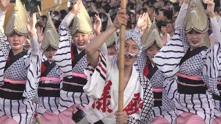 藍場浜を流す「殿様連」2019徳島夏の阿波おどり（2019.8.12）