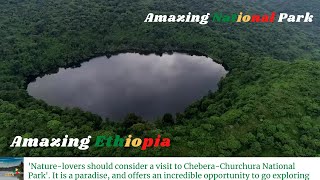 Ethiopia’s Chebera-Churchura National Park: A relatively untouched and rich wilderness area