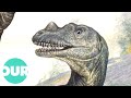 This Is How Bones Shaped Our Knowledge Of Dinosaurs | Dinosaurs | Our World