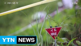 [YTN 특집] DMZ 새로운 여정 1부 / YTN