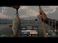 fishing planet – trophy ide on topwater lure at ghent terneuzen canal netherlands.