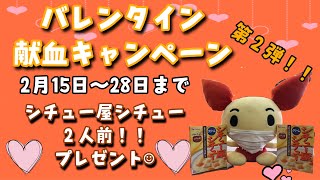 【献血ルーム限定】バレンタイン献血キャンペーン第２弾！！シチュー屋シチュー２人前🍽プレゼント☺︎