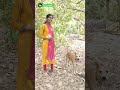 🐔குரங்கோட வாக்கிங்கா 😂😂😂 kozhi_koothugal funny_chicken gramathukoothugal funnyvideo