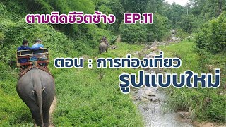 ตามติดชีวิตช้าง EP.11 ตอน \