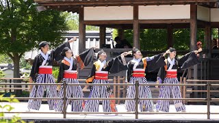 めちゃんこ夢邪気 📍バサラの宴 よさこいフェスティバル (第1部/池田城跡公園) 2024-05-11T11:24