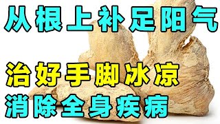 张仲景的“还阳方”，三味药组成的四逆汤，从根上补足阳气，治好手脚冰凉【健康大诊室】