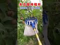 150公斤超強承重摘果神器 🍐特殊加長，拒絕攀爬安全結實！ 🍌自由伸縮，方便摘取果實 🍒下單即送，鋸，勾，刀