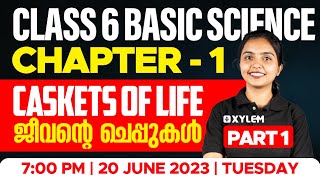 Class 6 Basic Science | Chapter 1 - Caskets of life / ജീവന്റെ ചെപ്പുകൾ Part - 1 | Xylem Class 6