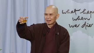 (6) The Little Plant of Corn and the "Eyes of Signlessness" | Thich Nhat Hanh, 2014 06 03