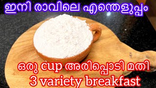 അരിപ്പൊടി വെച്ച് 3 easy breakfast .riceflour breakfast.