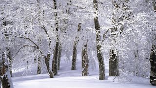 02.01.2025 | Nabożeństwo czwartkowe - Chrześcijańska Wspólnota Zielonoświątkowa w Kłodzku