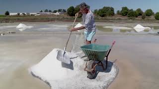 French drought's unlikely winners: salt farmers