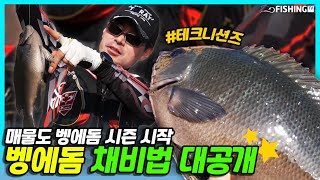 [피싱TV] 매물도 벵에돔 시즌 시작ㅣ채비법 대 공개_테크니션즈 #29_Girella fishing