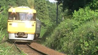 2015/5/29 キヤ95(DR1)紀勢本線(下庄‐亀山)にて