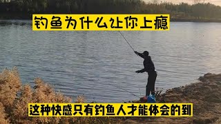 钓鱼为什么让你上瘾