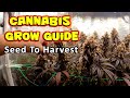 Maximize Your Harvests with Ease: seed to harvest