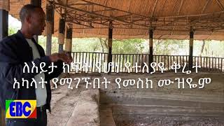 በኦሮሚያ ክልል ደቡብ ምዕራብ ሸዋ ዞን አዋሽ ወረዳ የሚገኘው የመልካ ቁንጥሪ መካነ ቅርስ