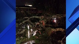 Tree takes out power lines in downtown Orlando