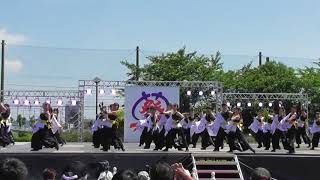 「高知学生 旅鯨人『彩白』」犬山踊芸祭2018 1日目