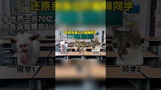 还原我身边的智障同学！#cheems #funny #memes