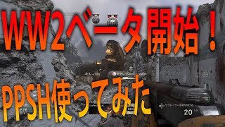 【WW2 実況】 奈々様ファンが行く ベータスタート！PPSH使ってみたpart 1  チーデス【ななか】