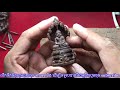 wood carving. buddha naga make from hardwood ព្រះអង្គ​ប្រក់នាគ​ ៣