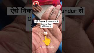 देखिये ऐसे निकलता है Samundar से Original Pearl(Moti) stone+Moti kise bante hai