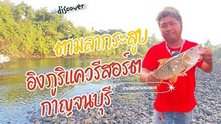 ตกปลากระสูบ กาญจนบุรีที่ อิงภูริมแควรีสอร์ต มันๆ