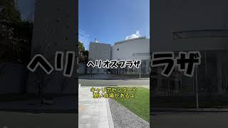 学内散歩2024~文系エリア編~