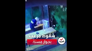 مسنة تنجو من سقوط شجرة ضخمة