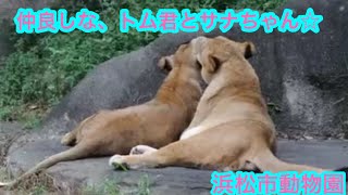 ナイトZOO（8/27）トム君・サナちゃん☆