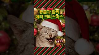 동물과 함께 메리 크리스마스 🎅