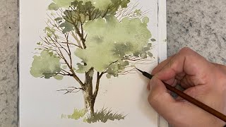 Easy drawing trees in spring with watercolor@SUNARTSTUDIO