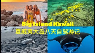 Big Island Hawaii Kona Coast | 夏威夷大岛科纳篇｜浮潜｜第一次夜潜看魔鬼鱼｜看绿海龟｜徒步Pololu 山谷｜非常好吃的Poke