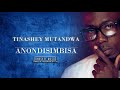 Tinashey Mutandwa - Anondisimbisa