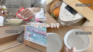 VLOG | 초보 집사의 일주일 일상 브이로그🐱 | 아기 고양이와 친해지기 [미트]