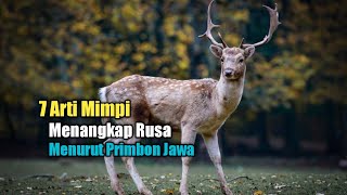 7 Arti Mimpi Menangkap Rusa Menurut Primbon Jawa