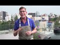 episode 1201 a tour of tacos al pastor rick bayless