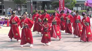 白山蘭美姫 さんp at YS日本海・加賀会場　２０１３年