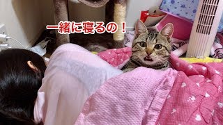 妹とどうしても一緒に寝たくて布団に潜り込んで来てしまった猫ｗ