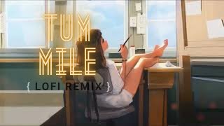 Tum Mile 🍁 Lofi Remix - Javed Ali, Pritam { Indian Lofi / Bollywood Lofi }